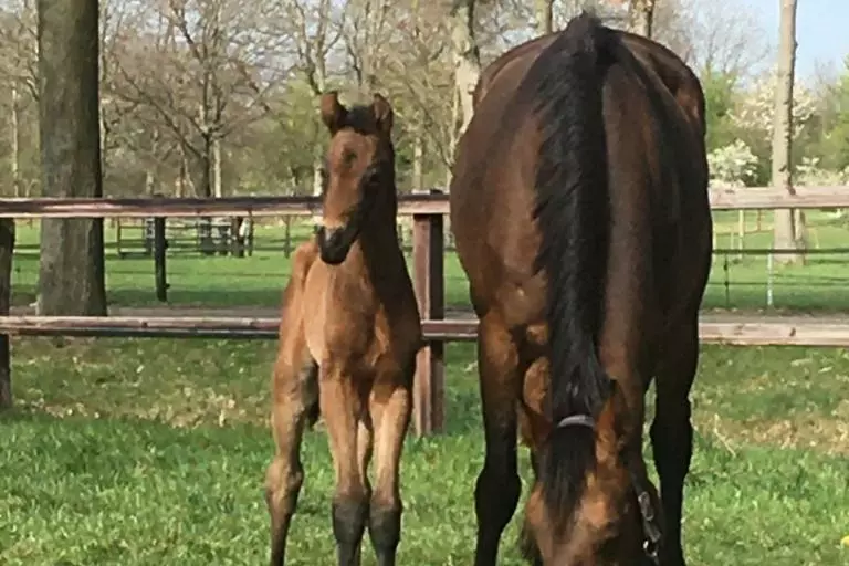 Whats App Image 2021 04 15 at 16 54 44